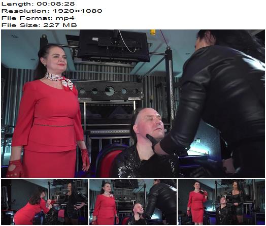 Mistress Luciana  Luciana di Domizio  Face Slapping And Spitting Slave preview