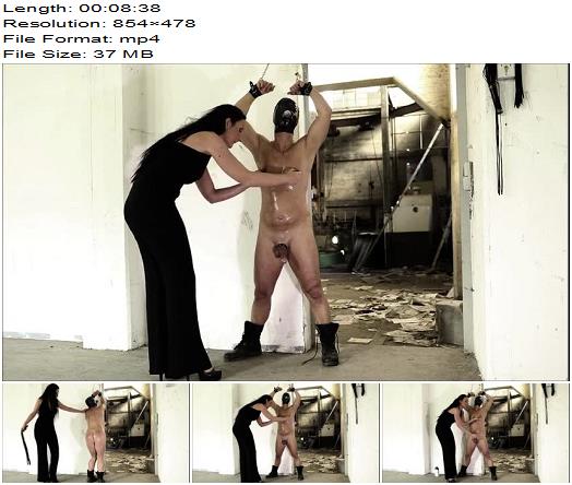 Mistress Luciana  Luciana di Domizio  Whipped And Milked In The Factory preview