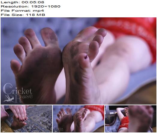 CricketRose  Dirty Feet Slave preview