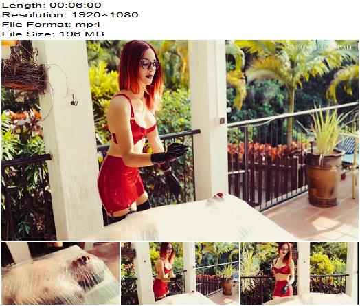 Elis Euryale A human ashtrays dream preview