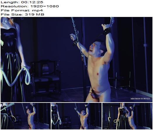 Elis Euryale  Rope Swing Balls Smashing preview