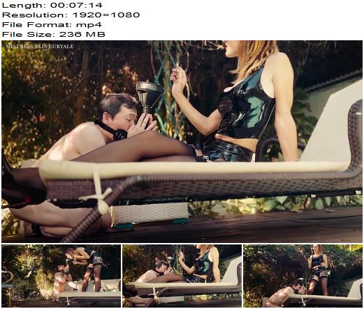 Elis Euryale Spittoon Ashtray Slave preview