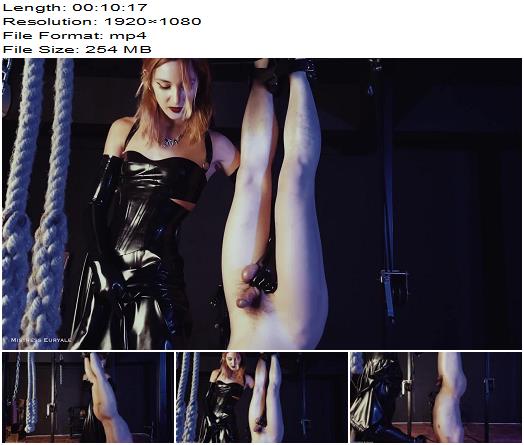 Elis Euryale  Suspended Rubber Worship preview