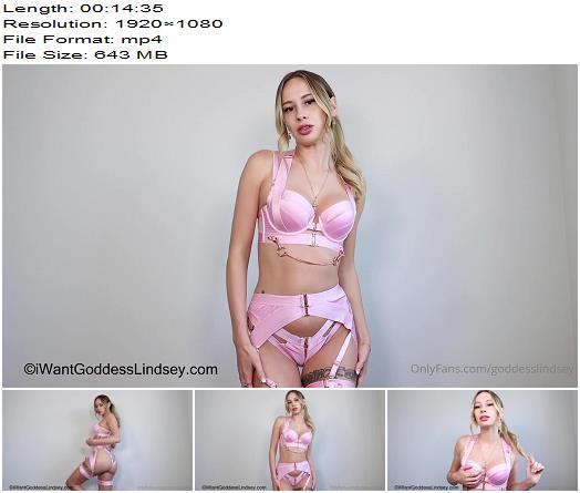 Goddess Lindsey  how much of a loser you are preview