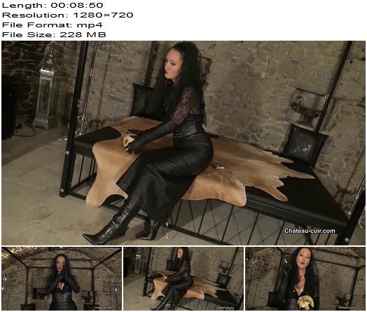 Kinky Leather Clips  Fetish Liza  Black Widow Smoking preview