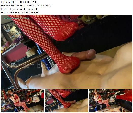 Miss Kitty Bliss  Your Cock and Ballsmy Footstool preview