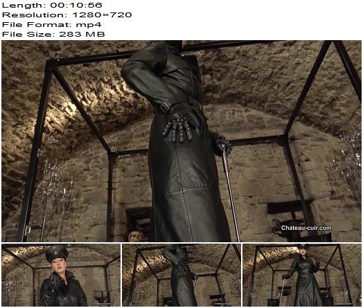 Kinky Leather Clips  Fetish Liza  Worship The Leather General preview