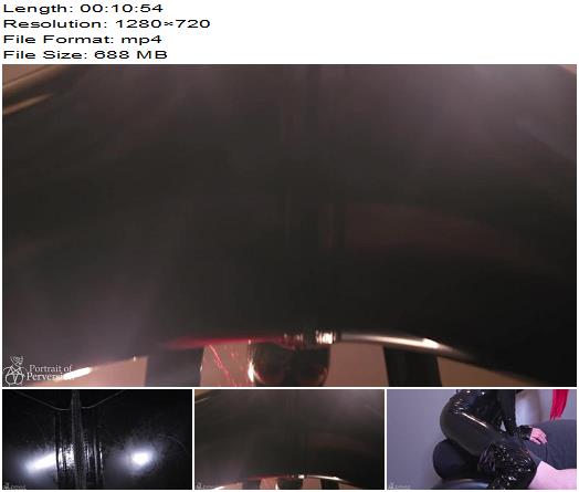 Portrait of perversion Facesitting Femdom In Full Latex preview