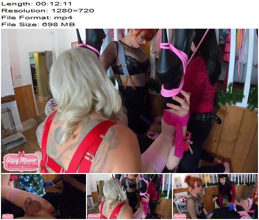 Sissy Manor Sissy Christmas Spitroast preview