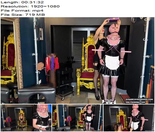 Gynarchy Goddess  Sissy maids posture training preview