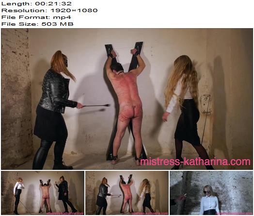 Institute of Discipline  Mistress Katharina  Slave of Office Ladies  Part 2 preview