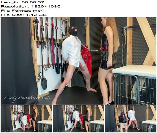 LadyAnnabelle666  Ballbusting hard kicks afterparty with my slave preview