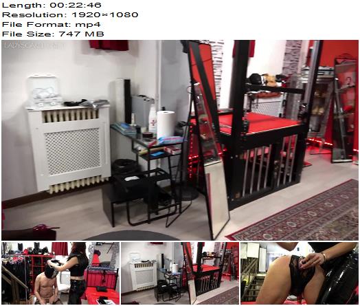 Lady Scarlet  A hard sissy training  part 1 preview