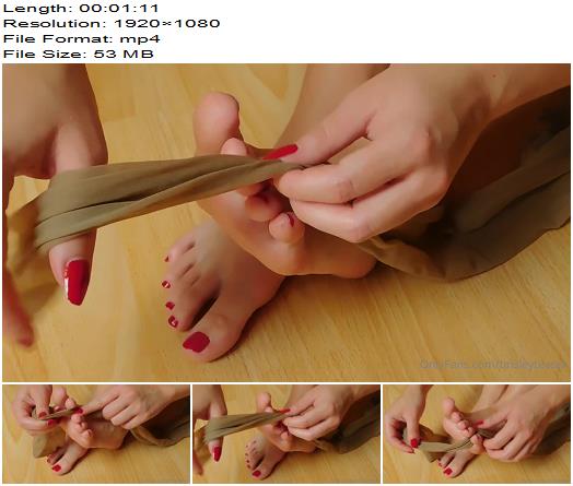 Tinsley Teaser  I Made You a Short Video of My Feet While Making My Nylons Extra Smelly preview