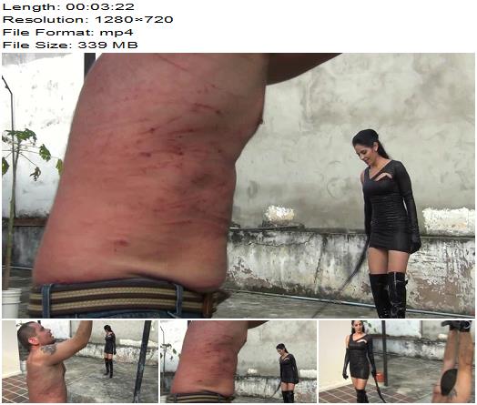 GERALD HRFAN The Zenith Bullwhip 4 preview