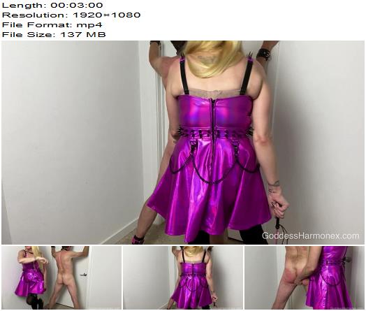 Goddess Harmonex  Play time with Goddess Harmonex preview