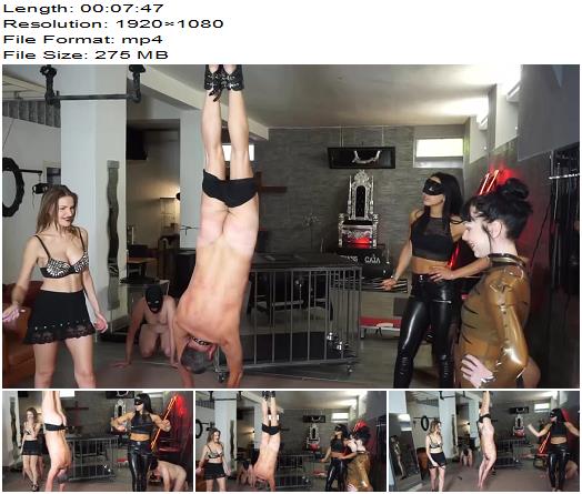 Nasty Femdom Chicks Whipping Their Poor Slaves preview