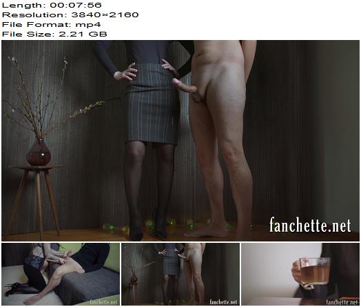 Chronicles of Mlle Fanchette  Les Ejaculations vol 81 Handjobs 4K preview