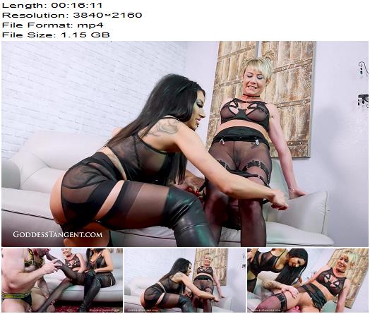 Goddess Tangent  Jemma Jansen  Sounding the Chastity Slave part 1 preview