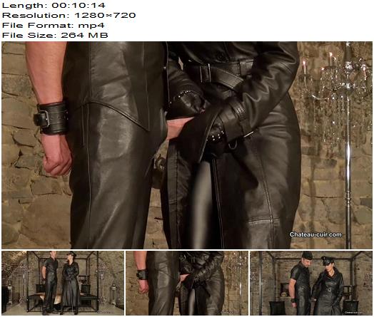 Kinky Leather Clips  Fetish Liza  Milked By The Leatherclad General preview