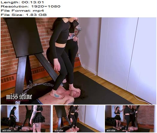 Miss Celine  Human Doormat 2  Sub Gets Trampled By Three Dommes preview