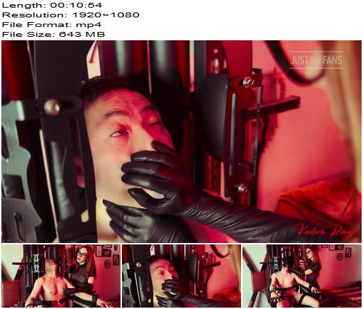 Mistress Euryale  A Long And Harsh Glove Smothering preview