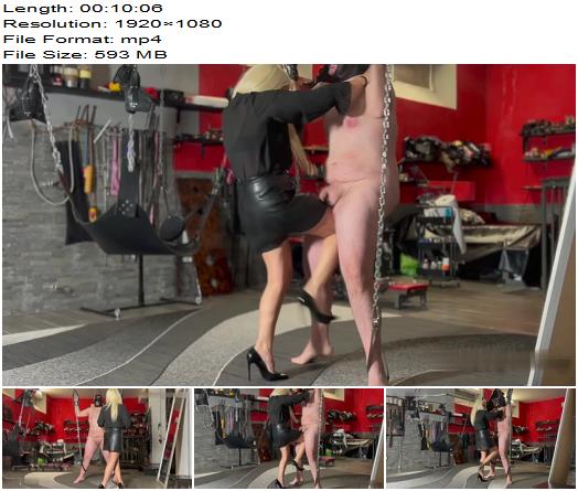 Mistresslilydupont  Mistress Lily Dupont  Ballbusting And Scratches preview