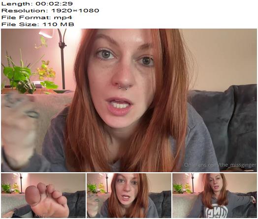 The Miss Ginger  Now I Want You To Worship My Socks As Well preview