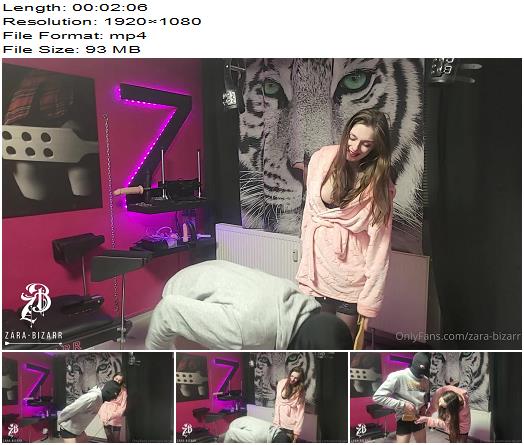 Zara Bizarr There Are No Exceptions preview