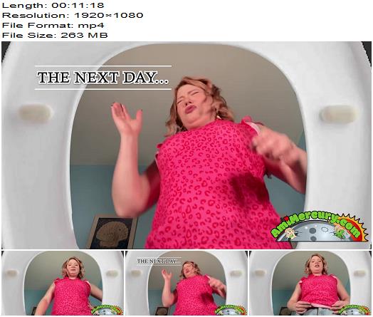 Amis Kinky Kastle Turned Into a Toilet preview