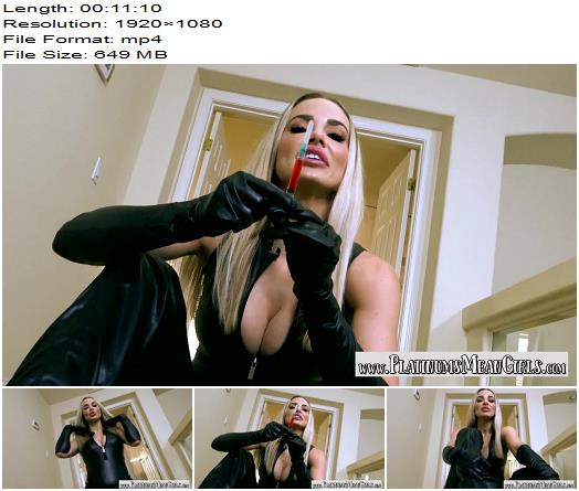 Goddess Platinum Platinum The Sexy Assassssin Part 2 preview