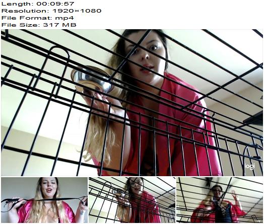 Goddess Shawna  Pets Get Crated preview