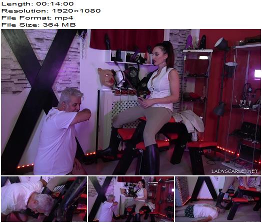 Lady Scarlet Cleaning After Riding preview