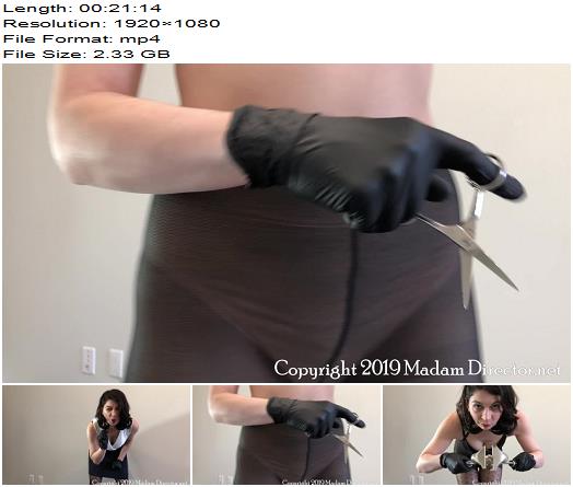 Madam Director  Compulsive Masturbator Castrated Slowly preview