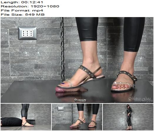 Mistress Gaia Cock Box Pet preview