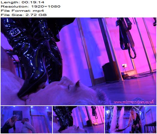 Mistress Vixen  Hung and Tested preview