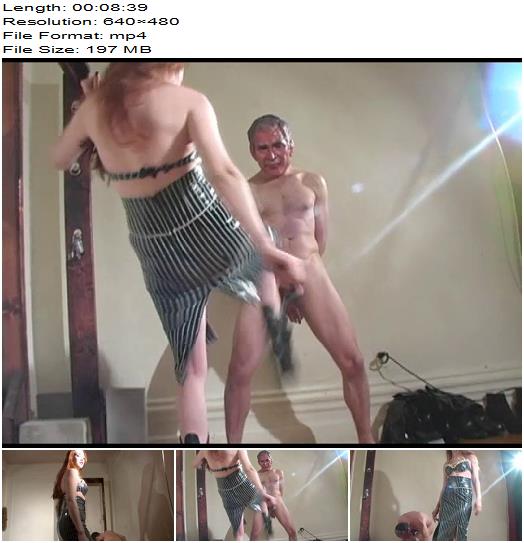 We Love Ballbusting  Weapons Of Mass Destruction preview