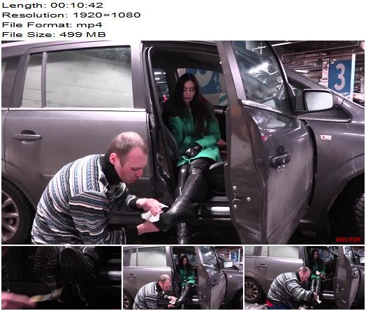 HEEL15CM  Goddess Mary  shoe cleaning preview