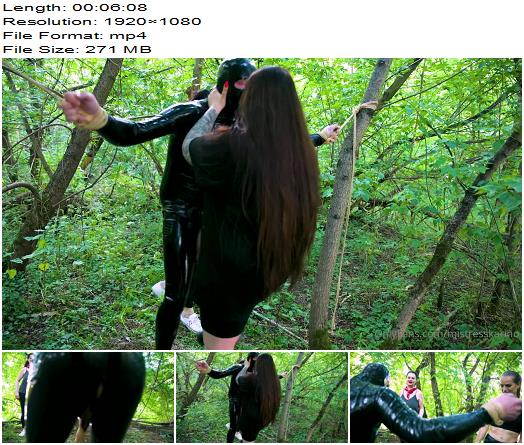 Mistress Karino  Any Fans Of Cbt Sessions preview