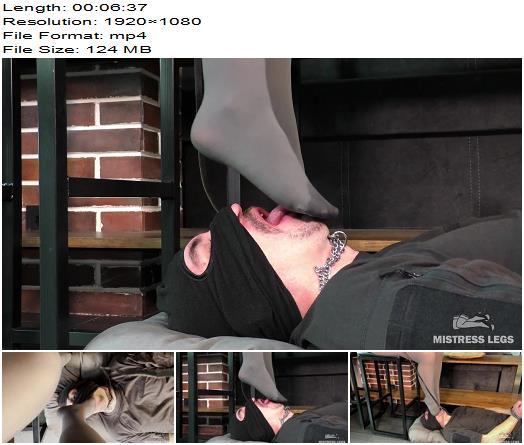 Mistress Legs  Gentle Morning Foot Gagging In Grey Opaque Pantyhose preview