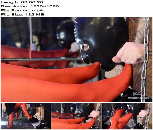 Mistress Legs  Shackled Slave Worships Mistress Red Nylon Legs preview