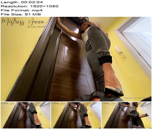 Supreme Goddess Anna  My Human Doormat Is Cleaning My Dirty Soles preview